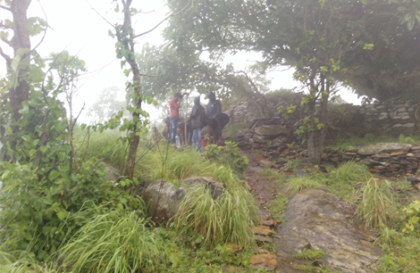 Forest Survey