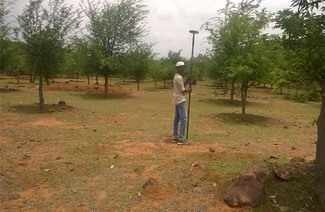 RTK Survey